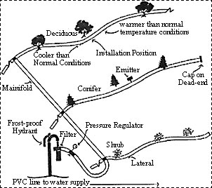 drip irrigation schematic for your trees