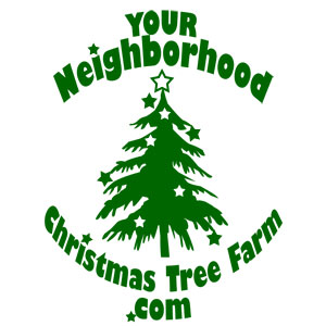 Neighborhood Christmas tree farm, in Boulder, Colorado