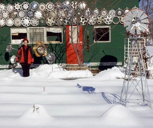 Our yard when the christmas trees were small